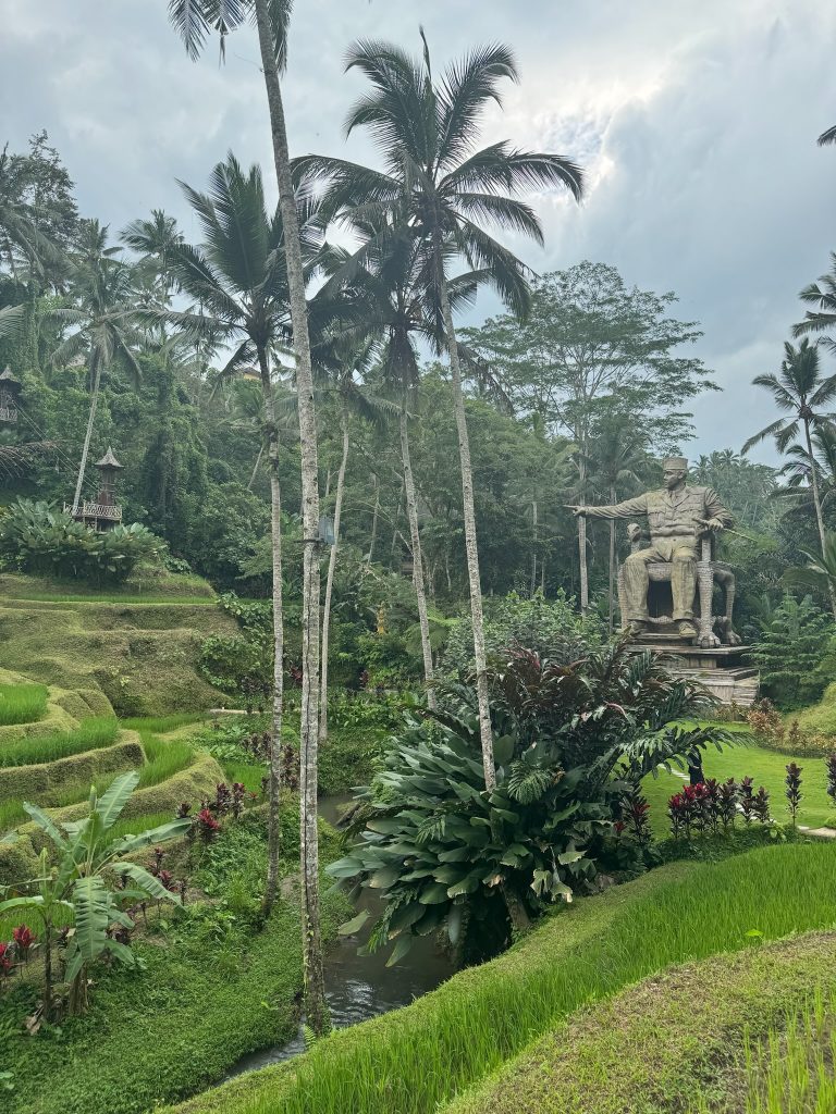 rizière d'ubud, à cretya, bali